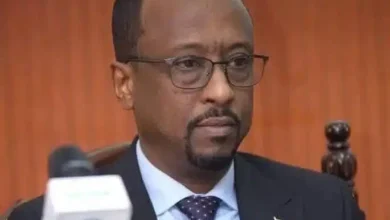 الاعيسر